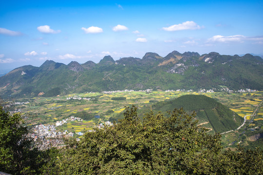 俯视村庄田园