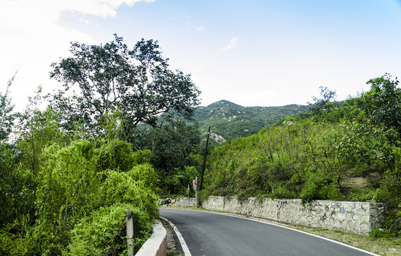 山路弯弯