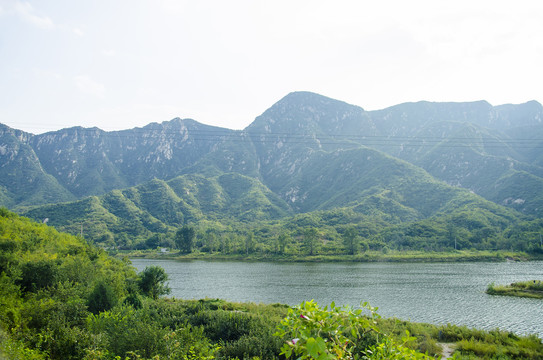 青山绿水