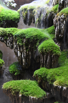 山水盆景