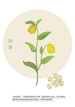 川貝