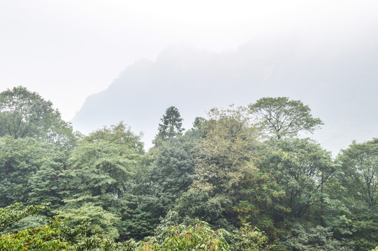 青城山