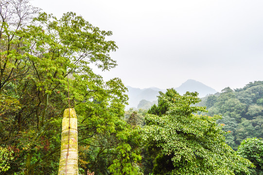 青城山风景区