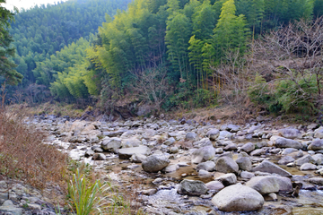 干涸的乡村河流