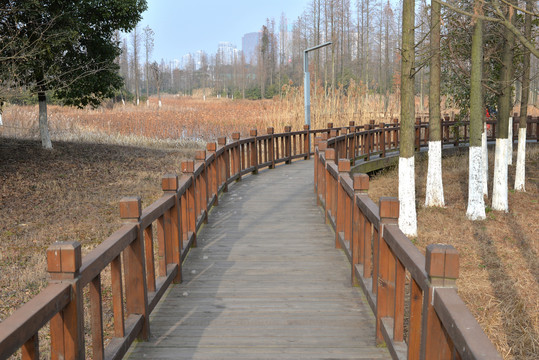 观景栈道