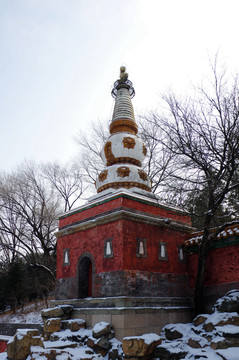 颐和园万寿山寺庙雪景