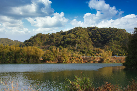 河景