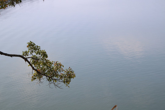 流溪河湖景