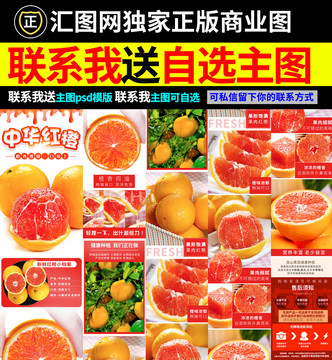 中華紅血橙詳情頁(yè)
