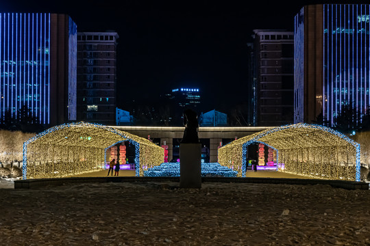 长春雕塑园冰雪新乐园夜晚景观