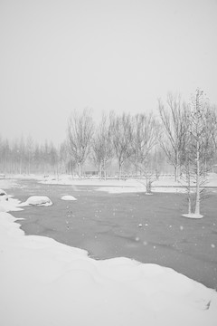 雪景