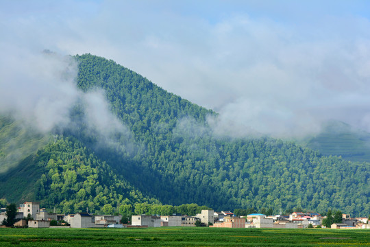 乡村风光