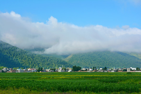 乡村风光