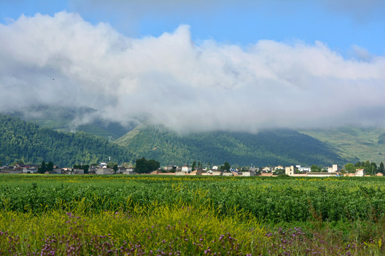 乡村风光