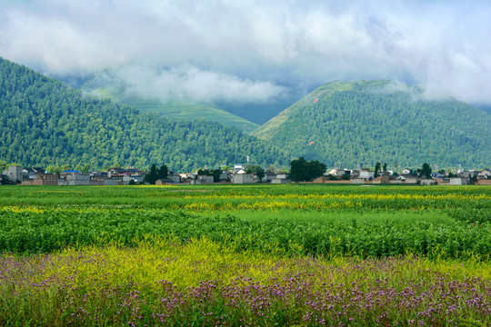 乡村风光