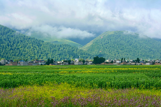 乡村风光