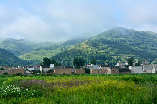 乡村风光