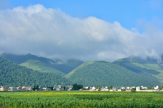 乡村风光