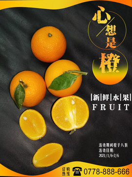 橙子海報