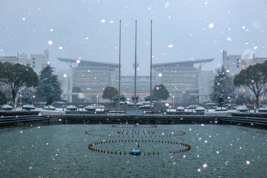 校园飘雪