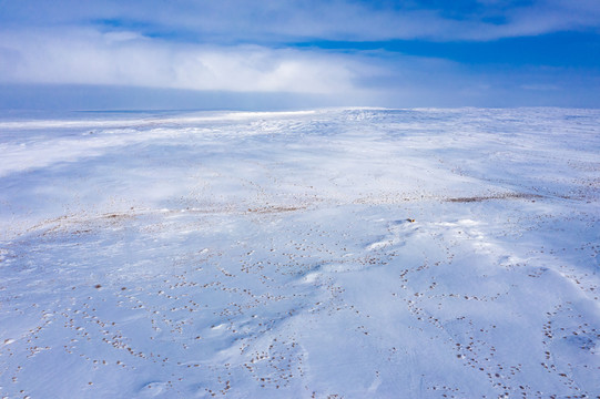 荒原雪地