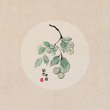 手繪核桃