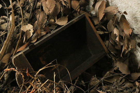 柴垛里废弃的木盒子