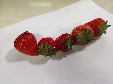 一线草莓