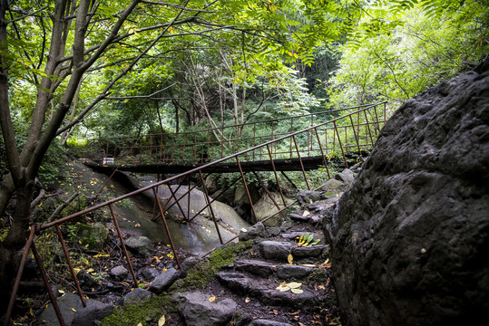 山中步道