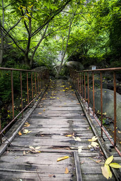 山中木栈道