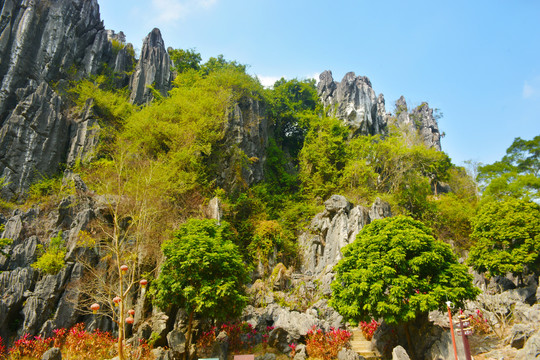 春湾石林风景