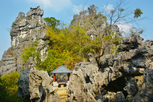 剑锋山风光