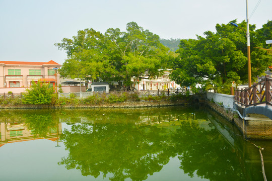 碧塘村风光