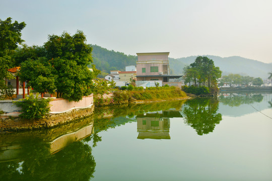 碧塘村风光