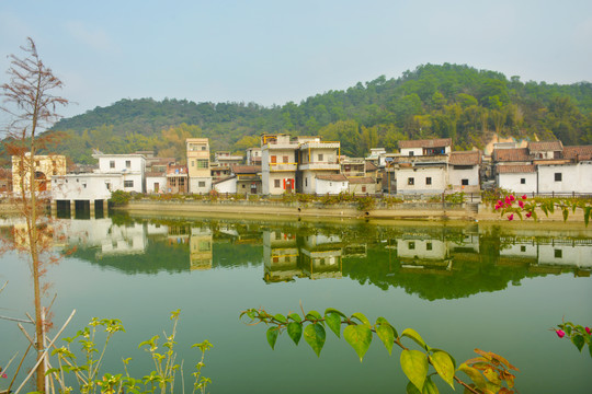 碧塘村湖景