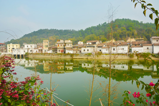 碧塘村风景