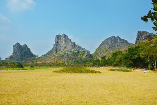 春湾石林风景