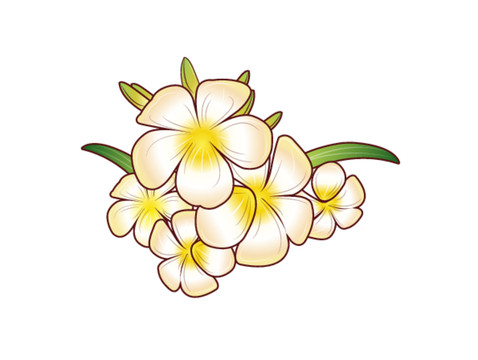 卡通雞蛋花