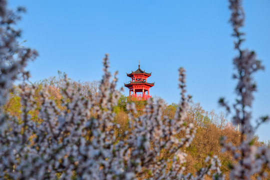 龙潭山观景台