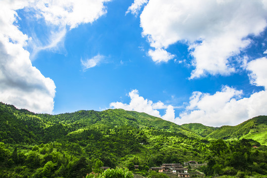 修水箔竹村