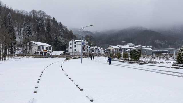 雪景