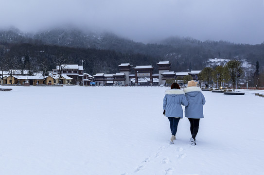 光雾山雪香景