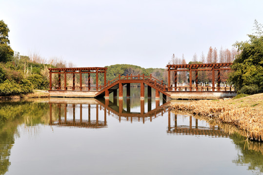 湿地公园木桥