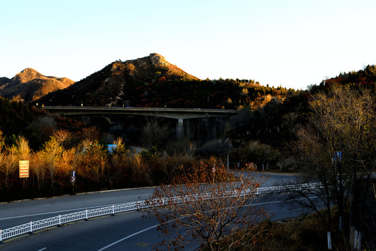 山区路网