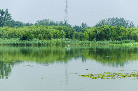 森林河流自然环境