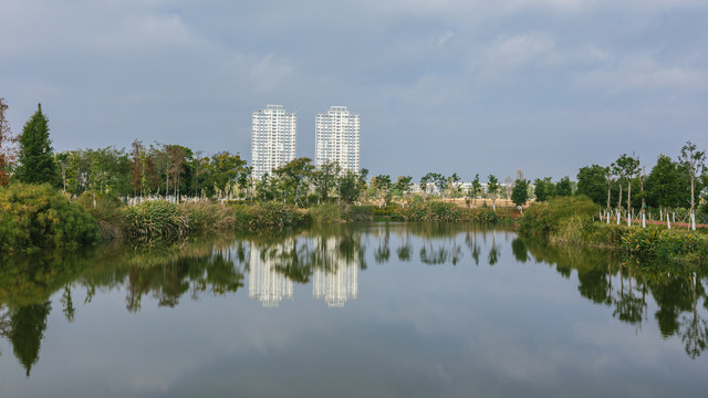 云南石屏异龙湖湿地自然风光