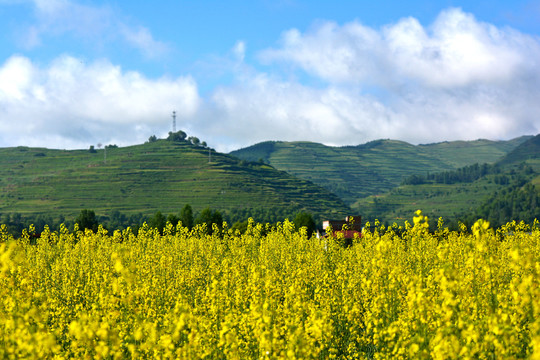 乡村风光