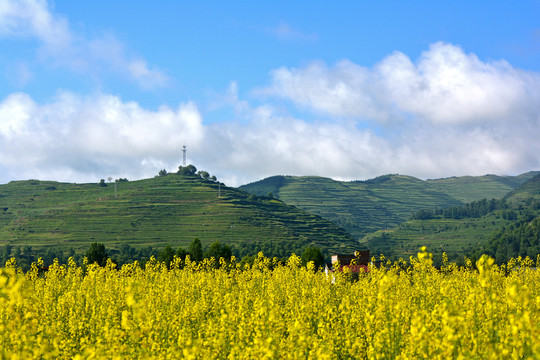 乡村风光