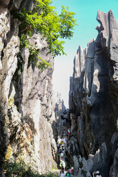 昆明石林风景区