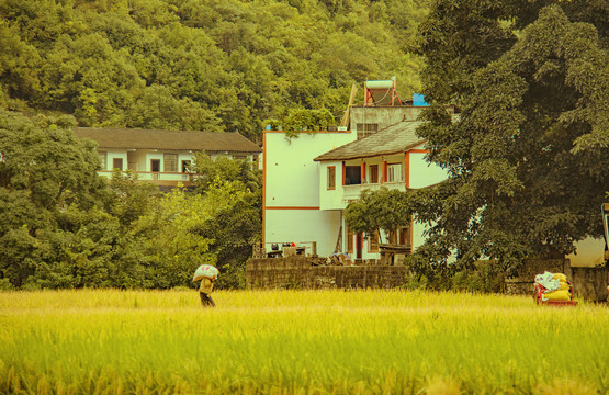 油画般的万峰林